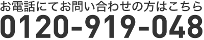 お電話にてお問い合わせの方は　0120919048