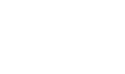 SNOWMAN INTERNET SERVICE